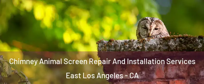  Chimney Animal Screen Repair And Installation Services East Los Angeles - CA