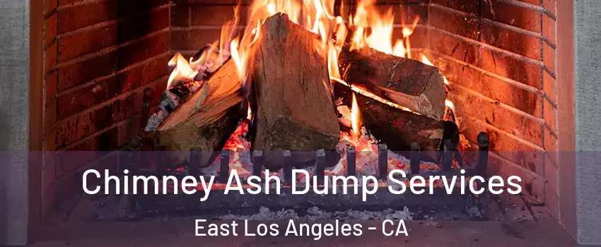  Chimney Ash Dump Services East Los Angeles - CA