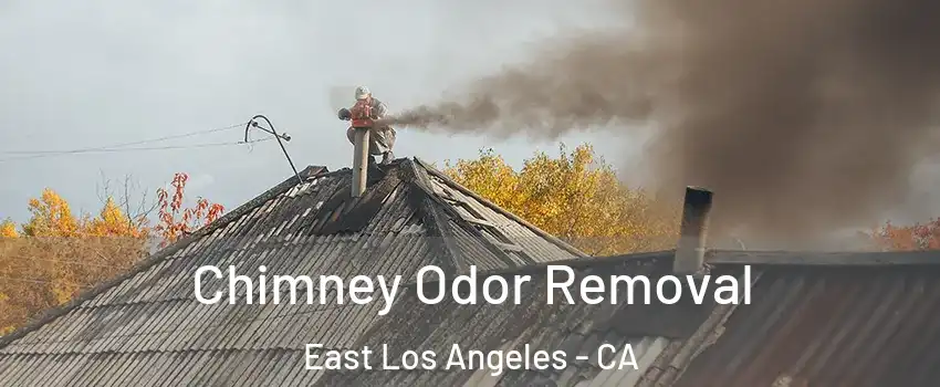 Chimney Odor Removal East Los Angeles - CA