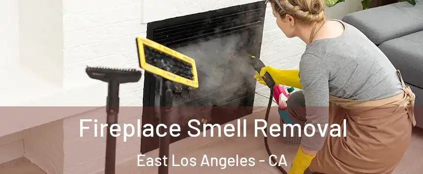  Fireplace Smell Removal East Los Angeles - CA
