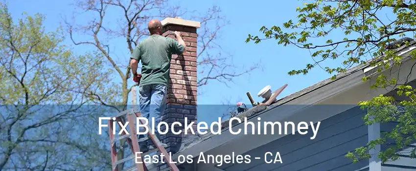  Fix Blocked Chimney East Los Angeles - CA