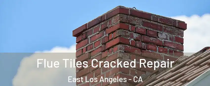  Flue Tiles Cracked Repair East Los Angeles - CA