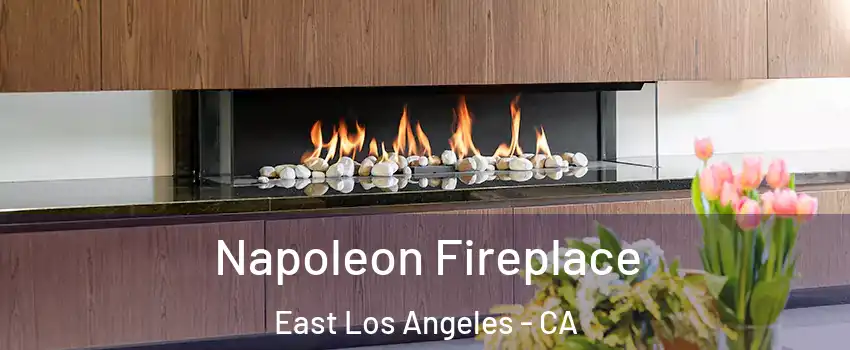  Napoleon Fireplace East Los Angeles - CA