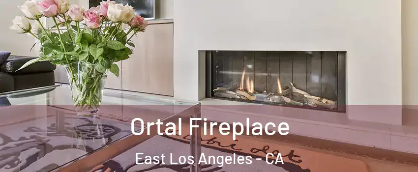 Ortal Fireplace East Los Angeles - CA