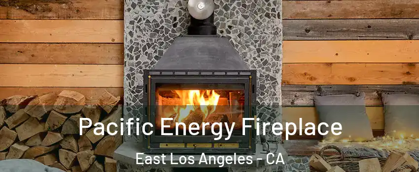  Pacific Energy Fireplace East Los Angeles - CA